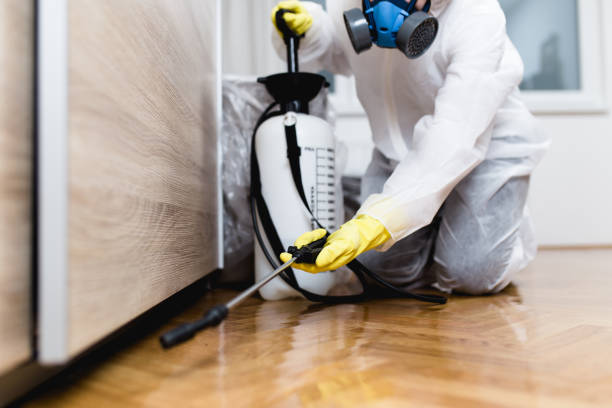 Pest Prevention Services in Kitsap Lake, WA