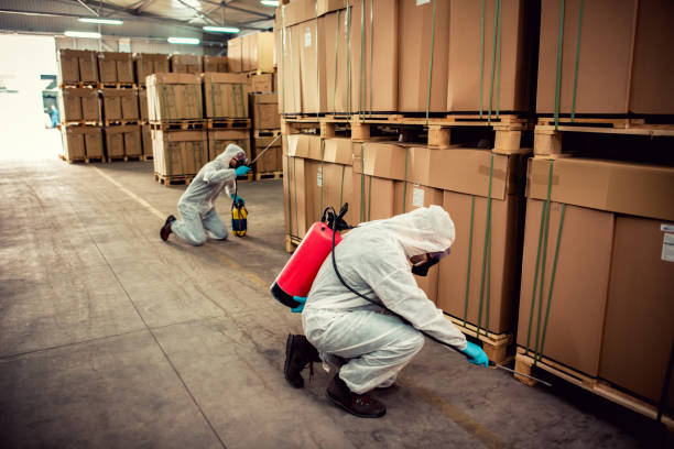 Best Best Pest Control Companies  in Kitsap Lake, WA