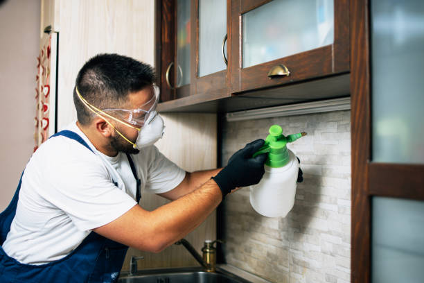 Best Pest Prevention Services  in Kitsap Lake, WA